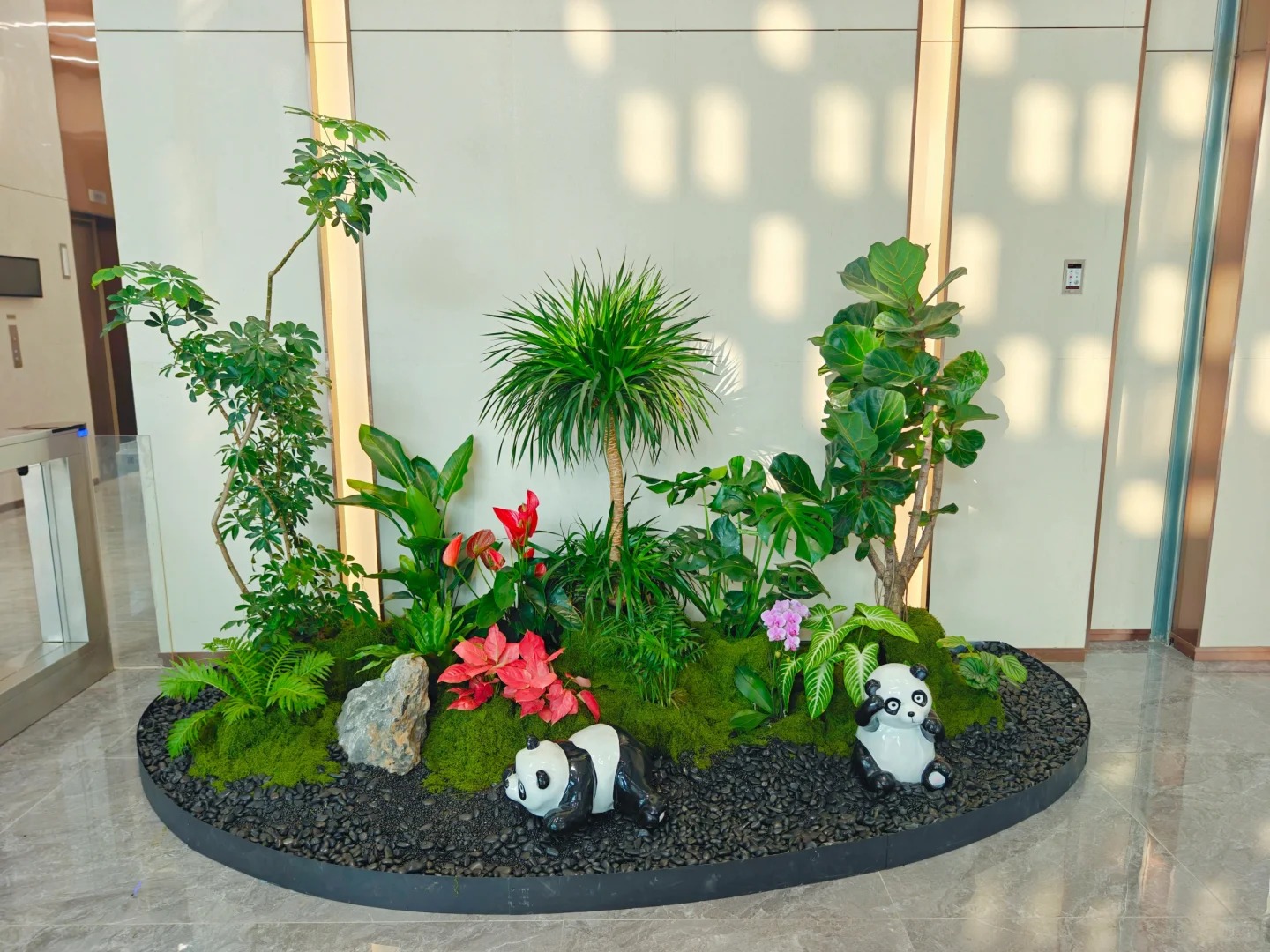 专业盆景租摆，宁波奉化带来别样视觉盛宴